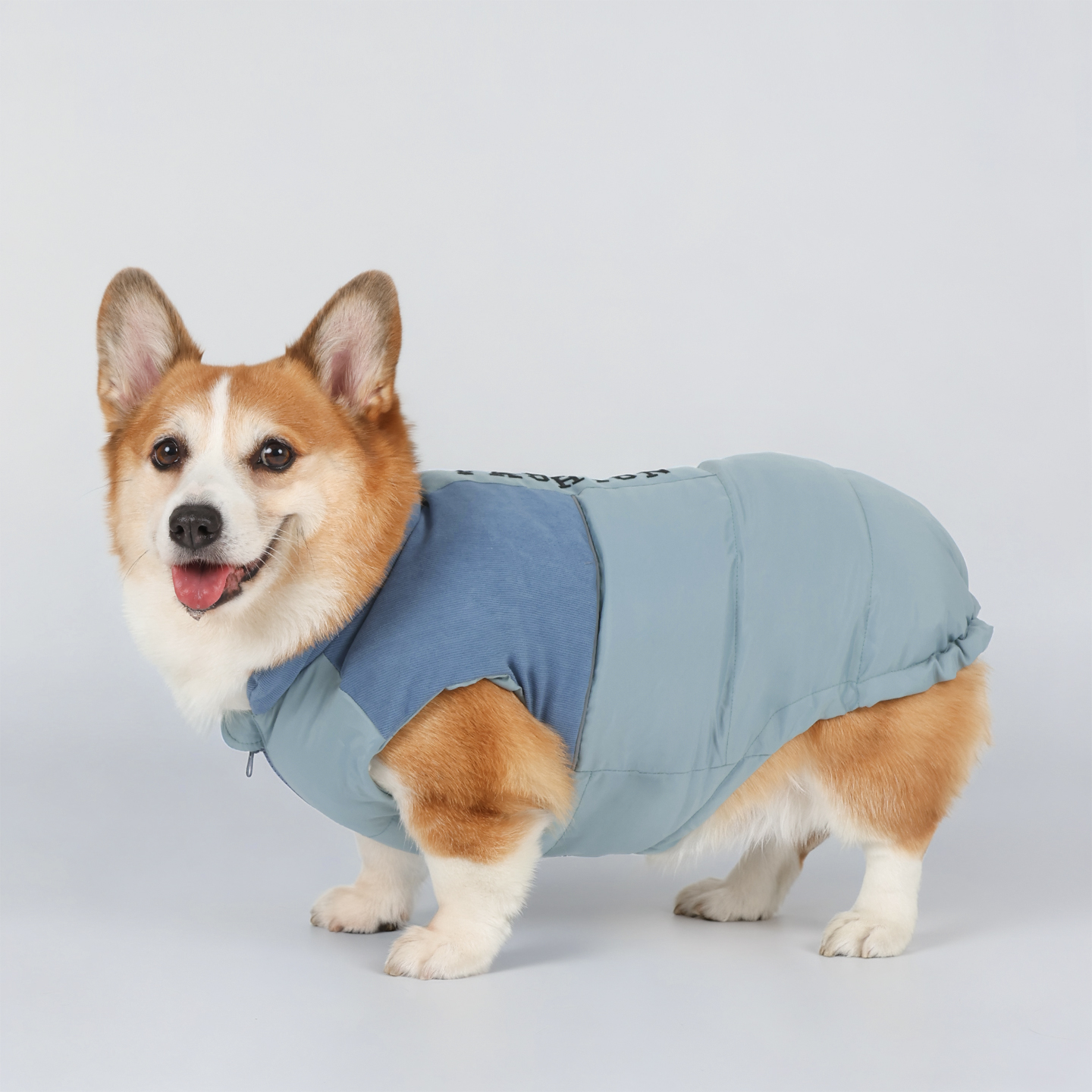 柯基保暖马甲秋冬款宠物狗狗衣服