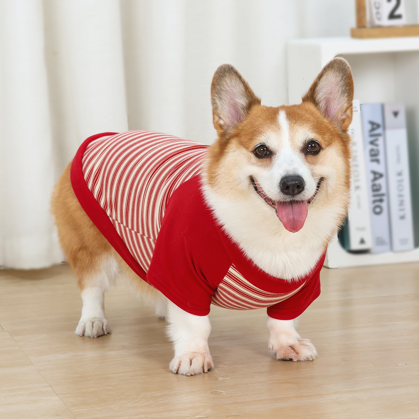 狗狗衣服中型犬包肚衣宠物防掉毛