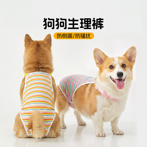 宠物母狗柯基生理裤姨妈裤防骚扰