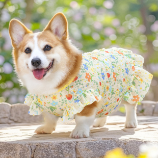 防晒衣防掉毛裙子中小型犬柯基柴犬2025新款 夏季 宠物狗狗衣服薄款