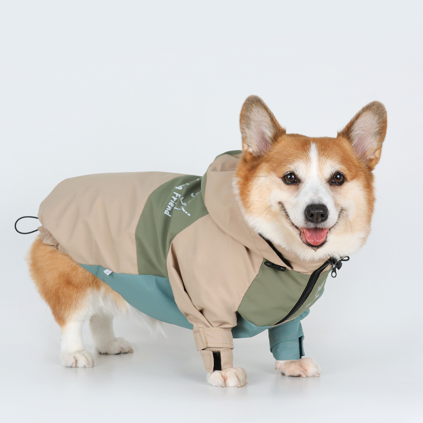 宠物狗狗衣服柯基秋冬防水冲锋衣