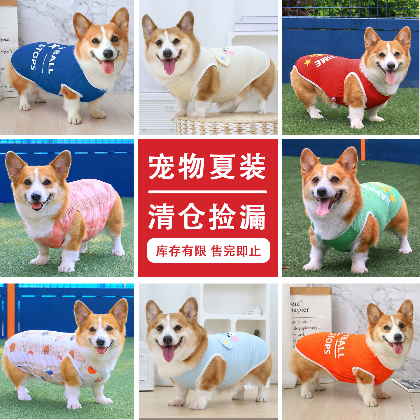 宠物狗狗背心清仓特价捡漏夏季防晒防掉毛柯基衣服防蚊虫售完为止
