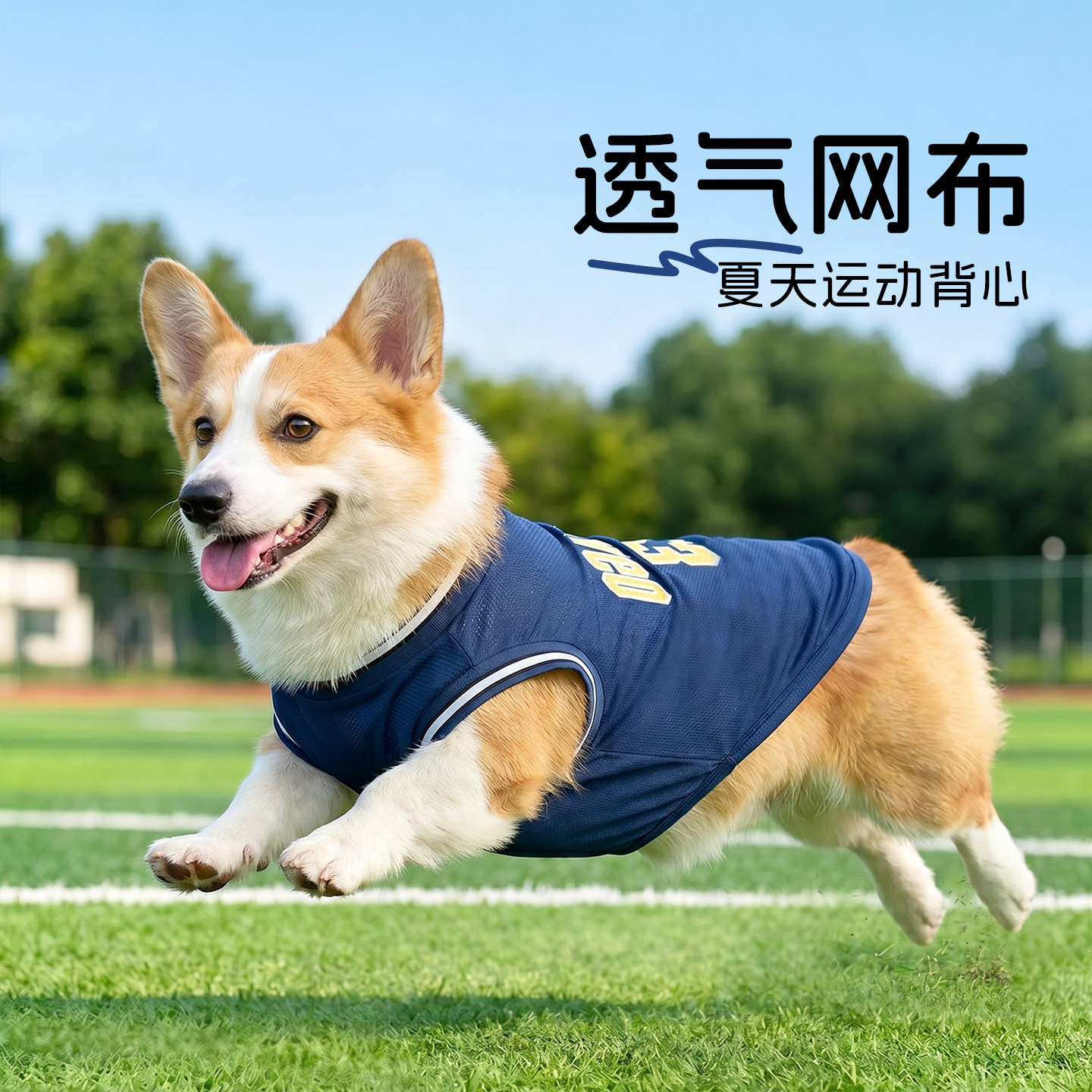 夏天狗狗透气运动背心柯基球衣夏图片