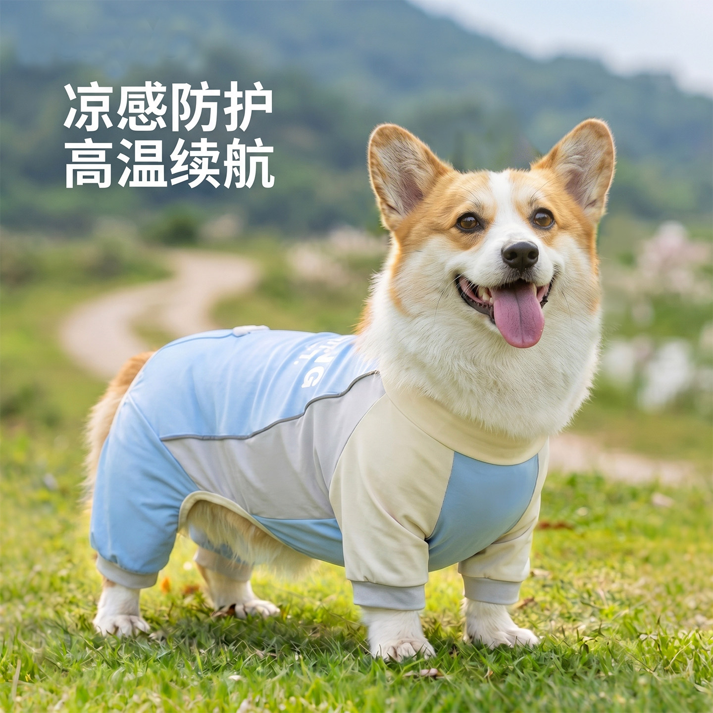 夏季狗狗柯基薄款四脚衣服兜狗毛图片