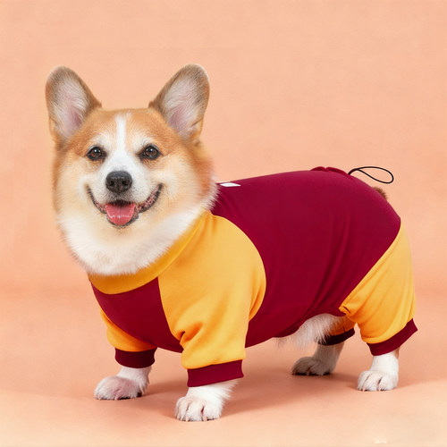 宠物狗狗衣服柯基冬季德绒四脚衣