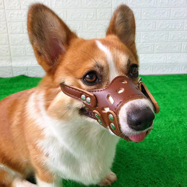 宠物用品狗狗嘴套防咬柯基犬口罩