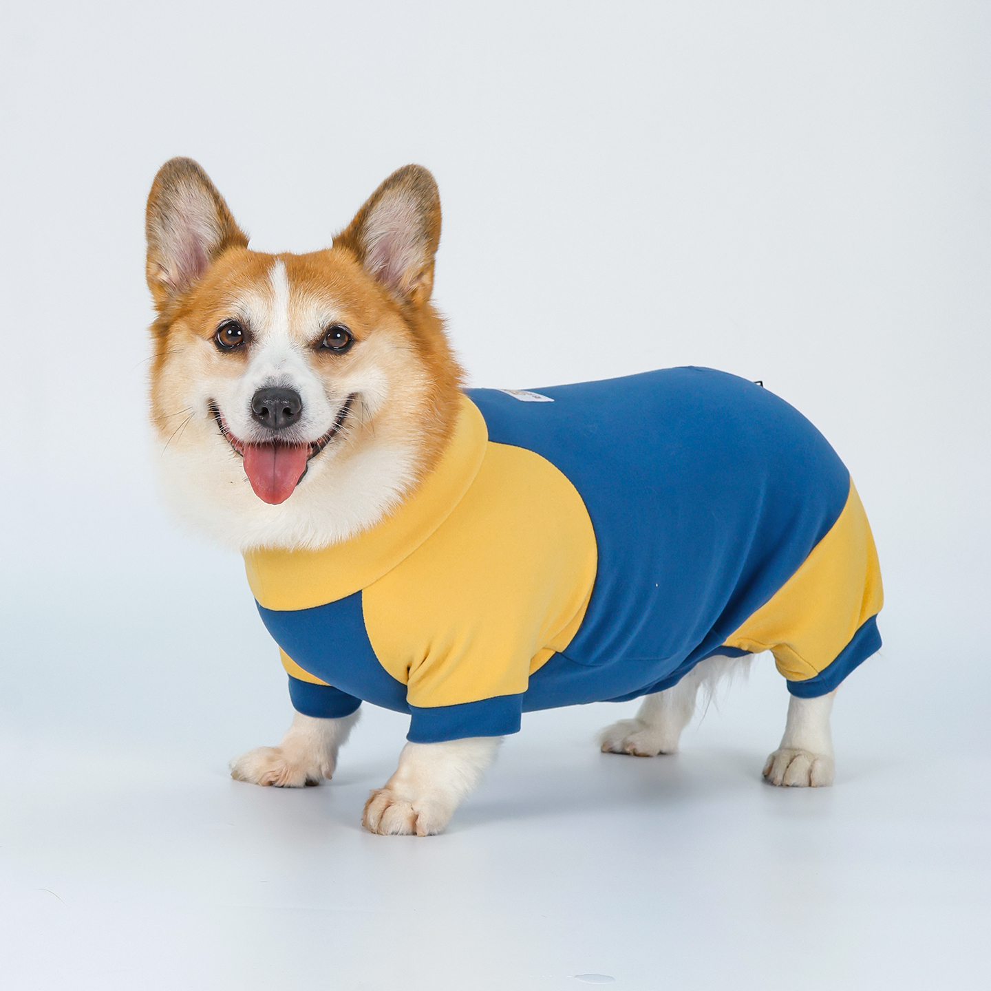 宠物狗狗四脚衣保暖秋冬小狗衣服