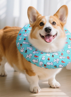 宠物狗狗头套伊丽莎白圈软防舔脚柯基柴犬可调节款耻辱圈绝育用品