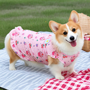 宠物狗狗凉凉衣防晒背心衣服薄款柯基泰迪小型犬中型犬防掉毛裙子