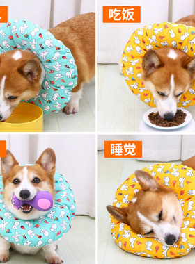 宠物狗狗伊丽莎白圈猫咪围脖防舔脖圈绝育头套耻辱圈伊利沙白软圈