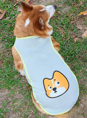 宠物狗狗夏天衣服薄款防晒防掉毛