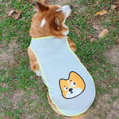 宠物狗狗夏天衣服薄款防晒防掉毛