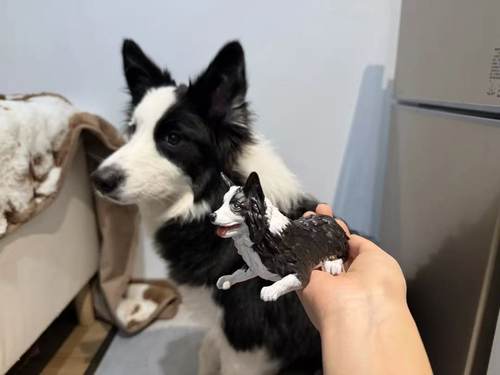 3D动物手办定制玩偶 来图定制