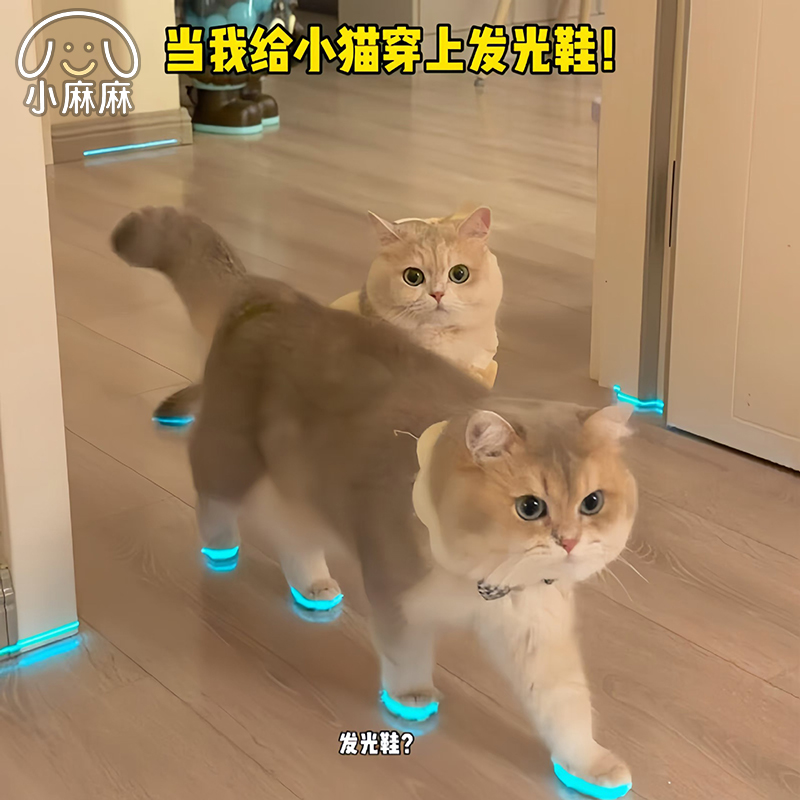 猫咪发光鞋宠物狗狗鞋子哨子夜光儿童玩具夜间拍照小配件撸猫装扮