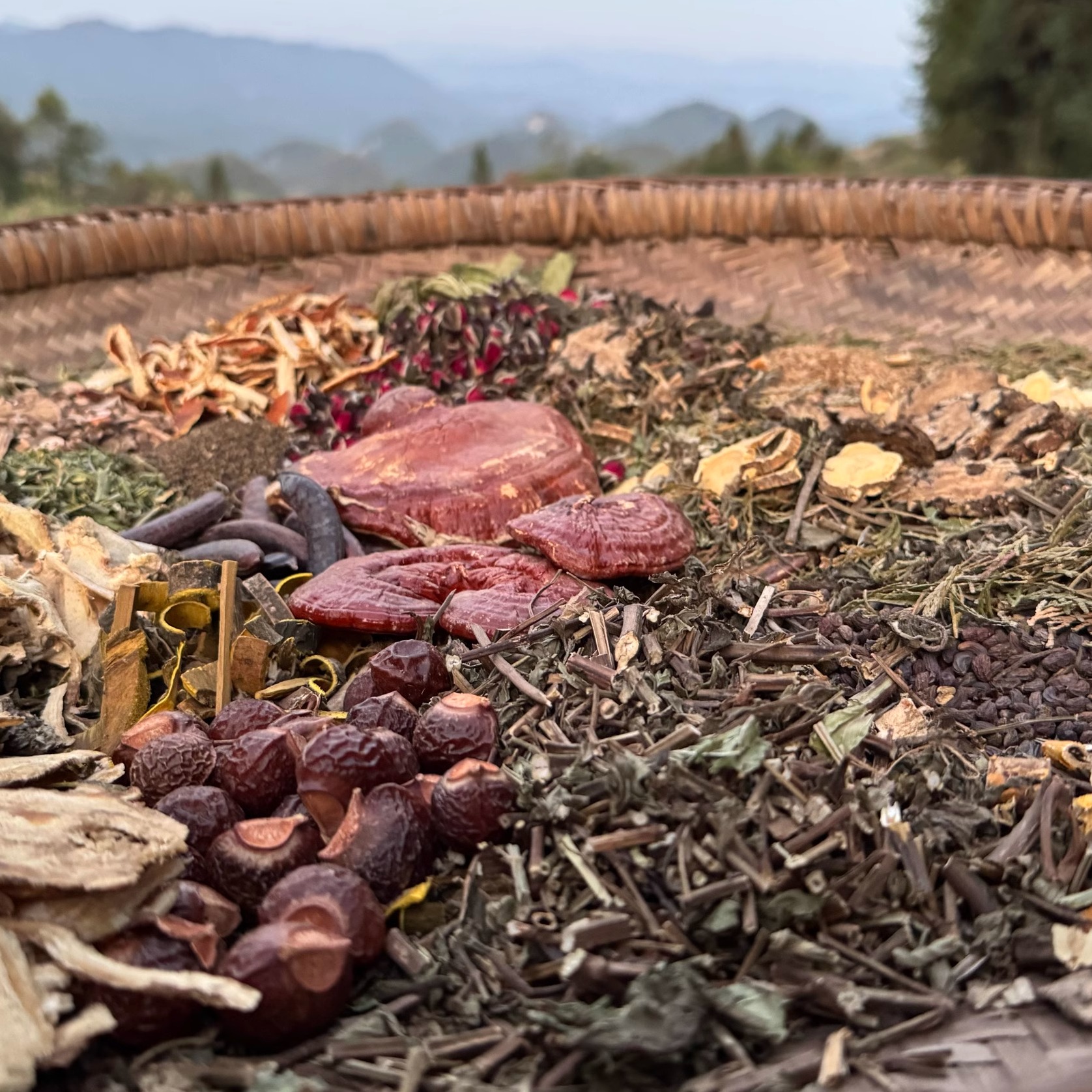 纯中药手工柴火熬制洗头液何首乌灵芝侧柏叶掉发头屑脓包痒外用
