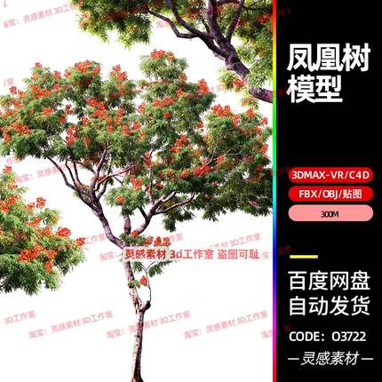 cc4d凤凰树乔木数树木植物景观大树3d模型fbx建模obj素材3dmax