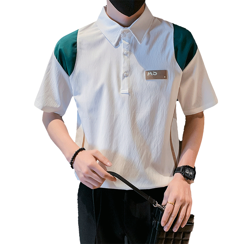 夏季男士t恤男装polo衫短袖半袖翻领潮流体恤2025新款Polo衫P48,男装T恤,电商A270