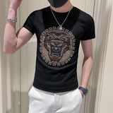 男圆领潮牌短袖上衣潮流小伙修身精神百搭夏季半袖tX恤体恤P38，男装T恤，电商A270