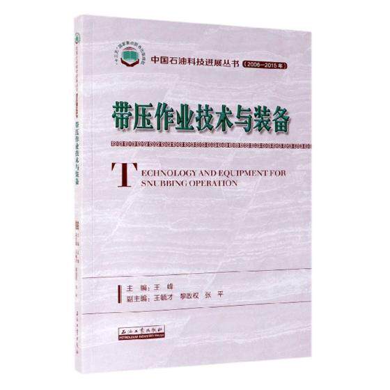 带压作业技术与装备王峰堵漏研究 书工业技术书籍