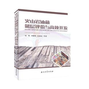 火山岩油藏储层评价与开发何辉等 书自然科学书籍