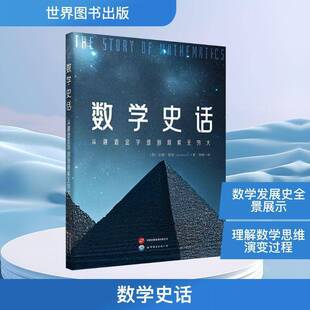 数学史话 书自然科学书籍 从建造金字塔到探索无穷大安妮·鲁尼