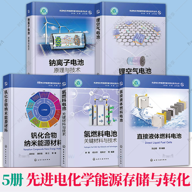 任选】先进电化学能源存储与转化技术氢燃料电池钠离子电池原理与技术锂空气电池钒化合物纳米能源材料电池技术手册直接液体