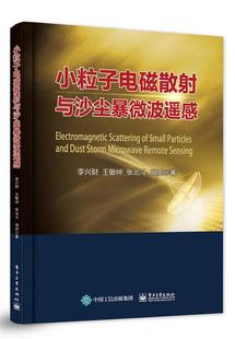 小粒子电磁散射与沙尘暴微波遥感李兴财沙尘暴大气遥感微波遥感研究 书自然科学书籍