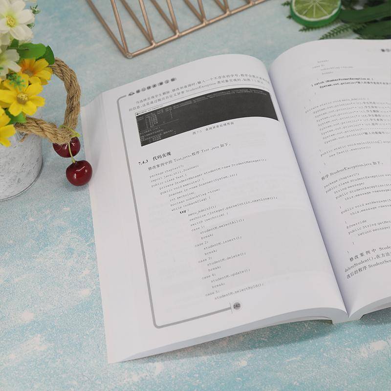 Java核心技术(2版)马志强  书计算机与网络书籍