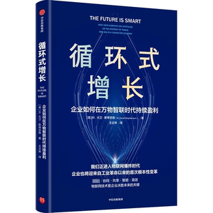 循环式增长:企业如何在万物智联时代持续盈利:how your company can capitalize on the inter of thin大卫·斯蒂芬森  书管理书籍