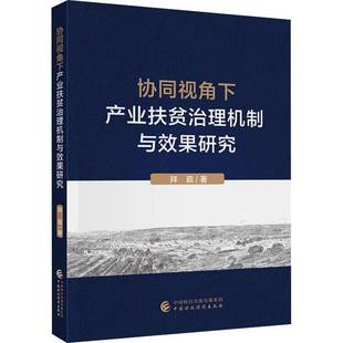 协同视角下产业扶贫治理机制与效果研究拜茹 书经济书籍