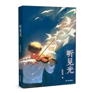 听见光舒辉波  书文学书籍