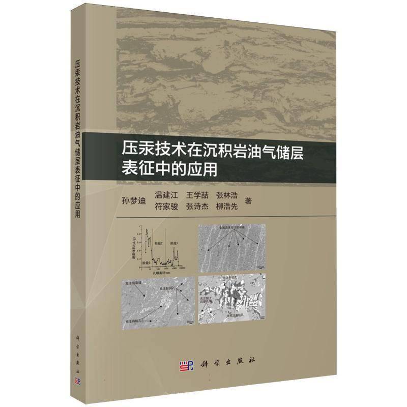 压汞技术在沉积岩油气储层表征中的应用孙梦迪 书自然科学书籍