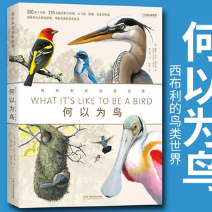 何以为鸟书 西布利的鸟类世界 中国国家地理图书 当代观鸟 画鸟大师西布利全新画册 以观鸟之名开启认识世界的新维度 湖南科学技术