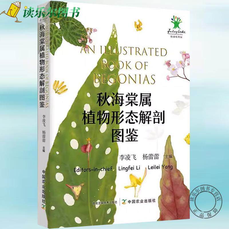 秋海棠属植物形态解剖图鉴 95种秋海棠属原生种类32个栽培品种植株整体形态茎叶花 秋海棠识别与鉴定彩色图谱 秋海棠书籍