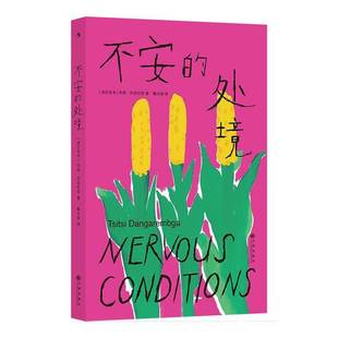 不安的处境齐西·丹加伦芭  书图书书籍