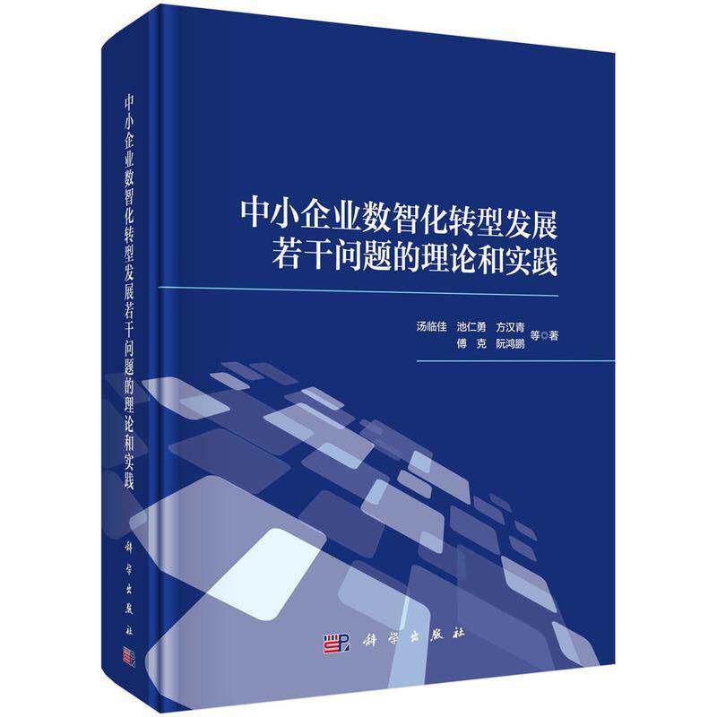 中小企业数智化转型发展若干问题的理论和实践汤临佳等  书管理书籍