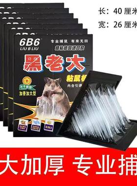 黑老大粘鼠板老鼠粘强力胶粘大老鼠正品家用加厚超捉沾超大老鼠贴
