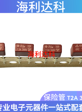 369方形 369 T2A 300V 超小型TE5延时 慢断 保险丝 36912000000