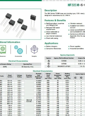 396方形 T400MA 125V TE5超小型 慢熔断一次性保险丝 39604000000