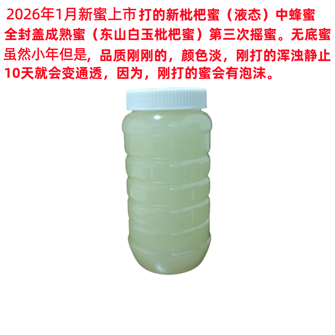 26年新蜜东山中华蜂纯正枇杷蜜全封盖土琵琶蜜天然冬蜜成熟蜜儿童