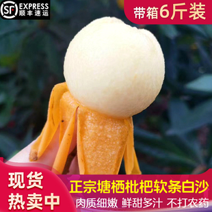 塘栖枇杷 正宗白沙塘西琵琶带箱5/6斤装白玉非东山甜新鲜水果顺丰
