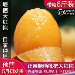 塘栖枇杷 正宗大红袍塘西琵琶带箱6/5斤装红毛丫头新鲜非东山顺丰