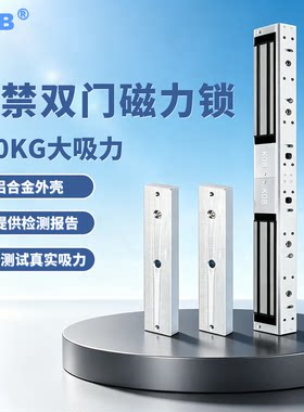电控锁信号反馈锁磁力锁