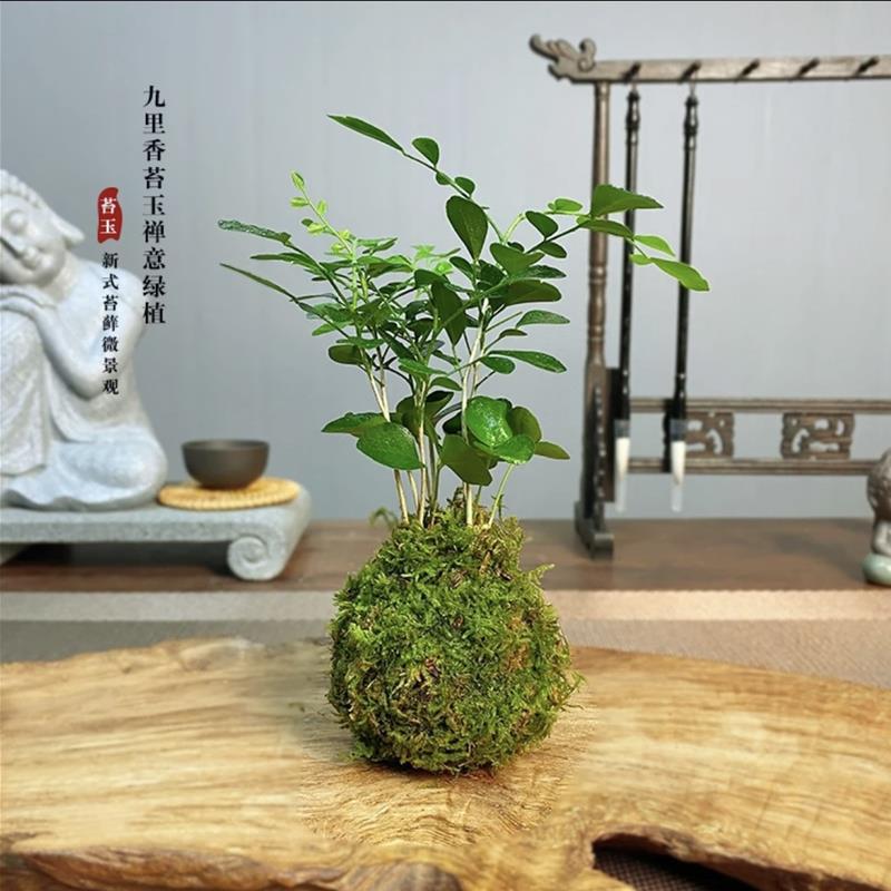 佛手柑托盘剑山插花器皿中式禅意