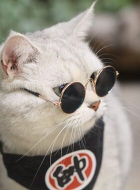 包邮宠物圆形金属镜框装饰小猫