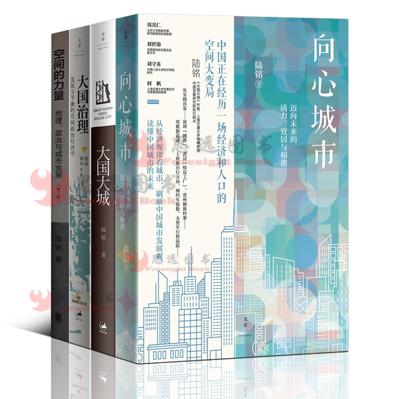 陆铭观中国经济【套装4册】大国治理：发展与平衡的空间政治经济学+向心城市+空间的力量：地理、政治与城市发展+大国大城