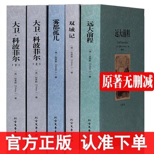 中文完整版 全译本 大卫科波菲尔上下 雾都孤儿双城记 远大前程 世界经典 名著查尔斯狄更斯全集书籍外国文学小说 狄更斯全集