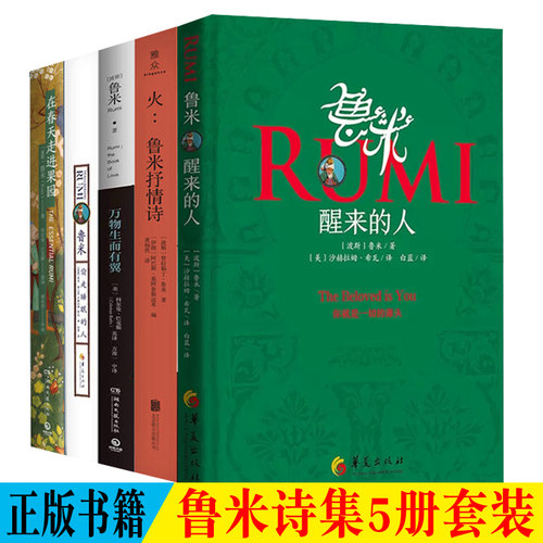 正版 鲁米诗集5册套装 在春天走进果园 醒来的人 鲁米抒情诗 万物生而有翼  鲁米偷走睡眠的人外国小说诗歌正版书籍