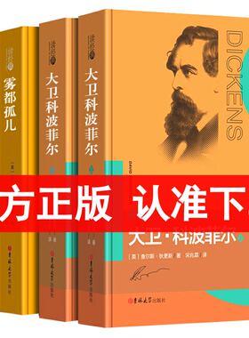 狄更斯作品集大卫科波菲尔 双城记 雾都孤儿共4册 精装  世界名著中文版 查尔斯·狄更斯小说全译本成人文学小说