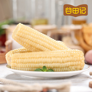 谷田记白糯玉米220g×10支新鲜东北粘白糯玉米软糯香甜